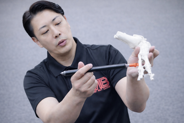 26年度11月MB式整体講座（“どこを施術すべきか”が分かる）